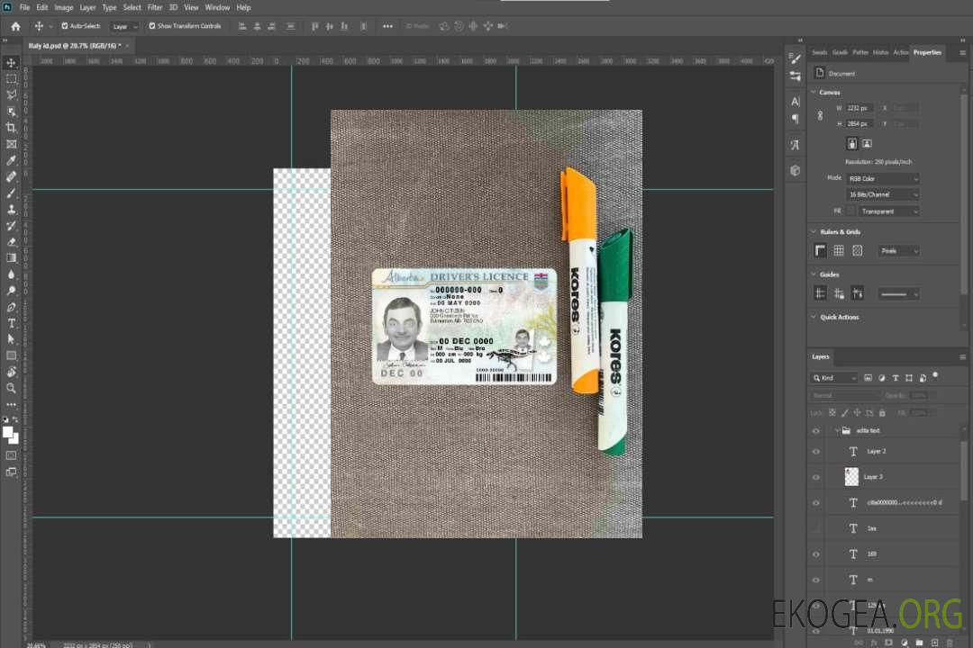 Canada Alberta province DL photolook AVANT template